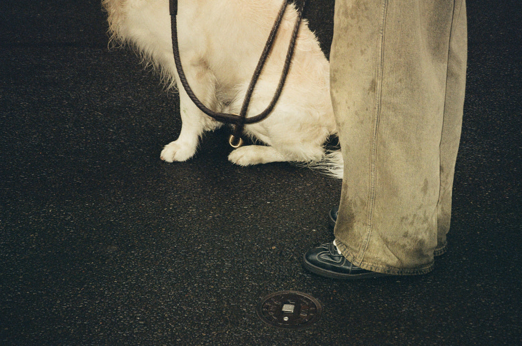 BIG BANG black nappa sneakers – mood shot with a dog